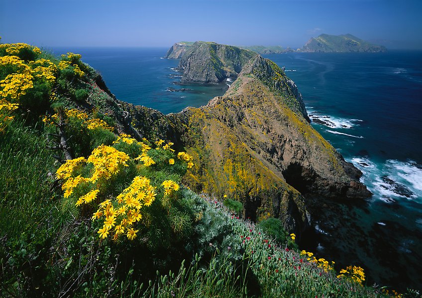 Channel Islands National Park.  ()