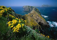 Channel Islands National Park.  ( )