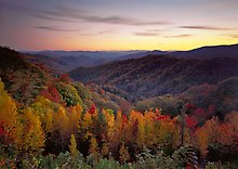 Great Smoky Mountains National Park.  ( )