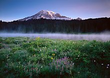 Mount Rainier National Park.  ( )