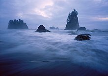 Olympic National Park.  ( )