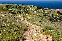 Smugglers Road, Santa Cruz Island. Channel Islands National Park.  ( )