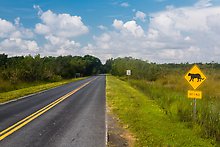 Main Park Road. Everglades National Park.  ( )