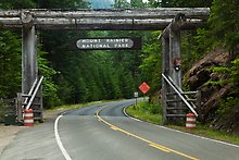 Paradise Road East. Mount Rainier National Park.  ( )
