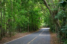 North Shore Road. Virgin Islands National Park.  ( )