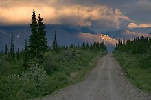 Nabesna Road. Wrangell-St Elias National Park.  ( )