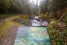 Sol Duc River. Olympic National Park.  ( )