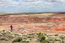 Painted Desert near Tiponi Point. Petrified Forest National Park.  ( )