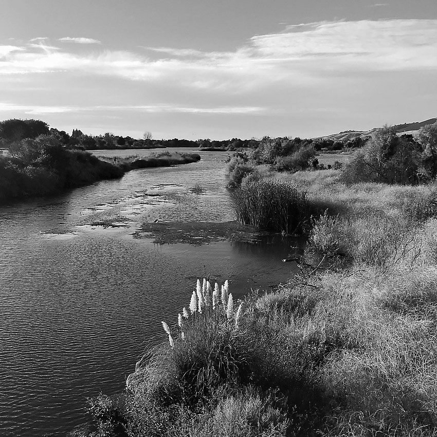 Coyote Creek Trail - Coyote Creek Trail ()