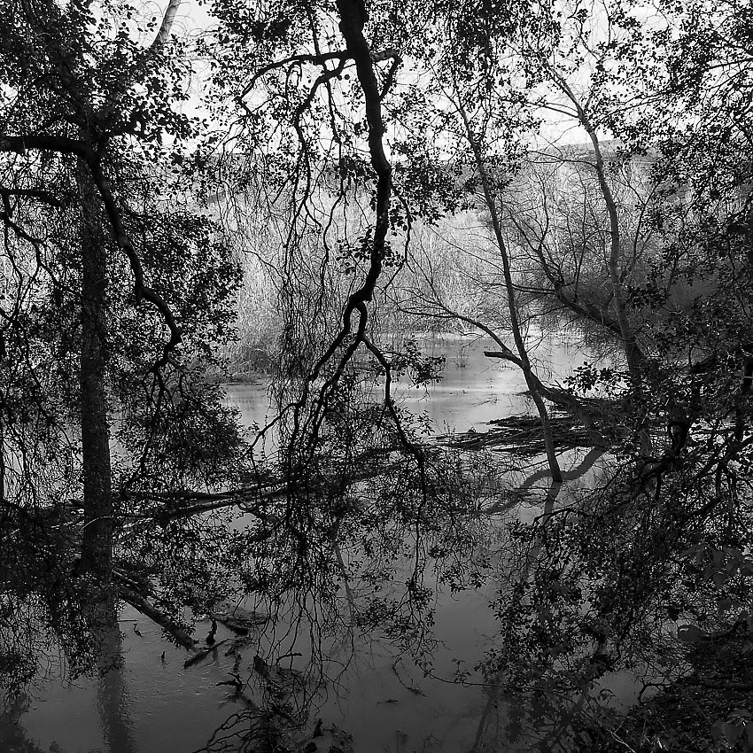 Coyote Creek Trail - Coyote Creek Trail ()