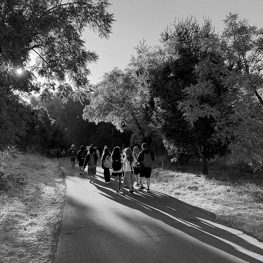 Coyote Creek Trail - Coyote Creek Trail ()