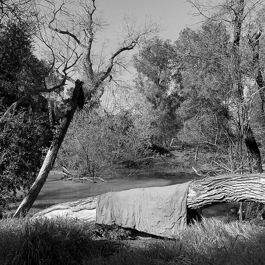 Coyote Creek Trail - Coyote Creek Trail ()