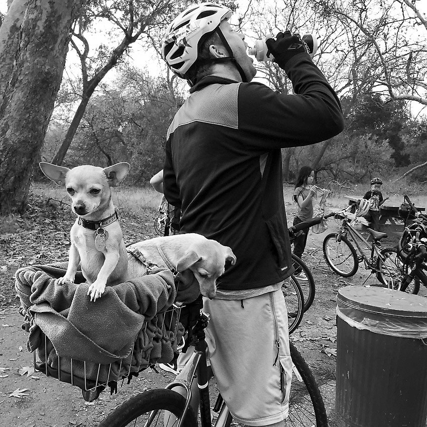 Coyote Creek Trail - Coyote Creek Trail ()