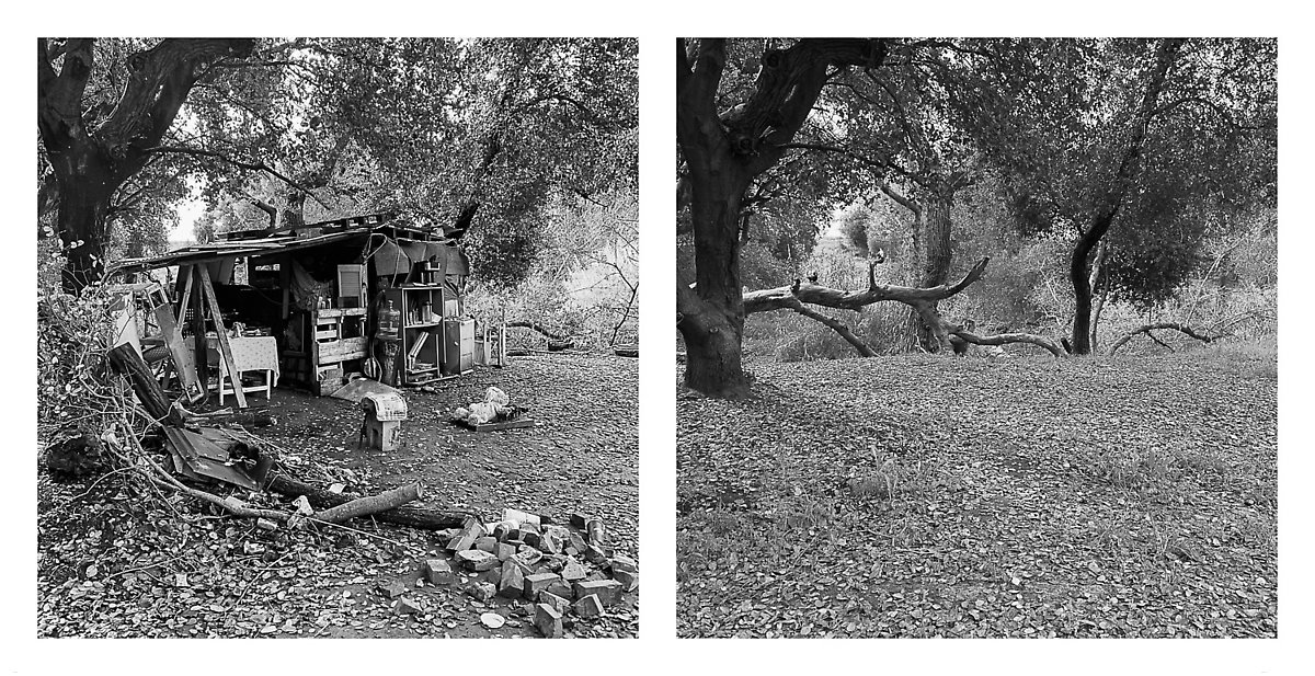 The Trail, Cleared - Coyote Creek ()