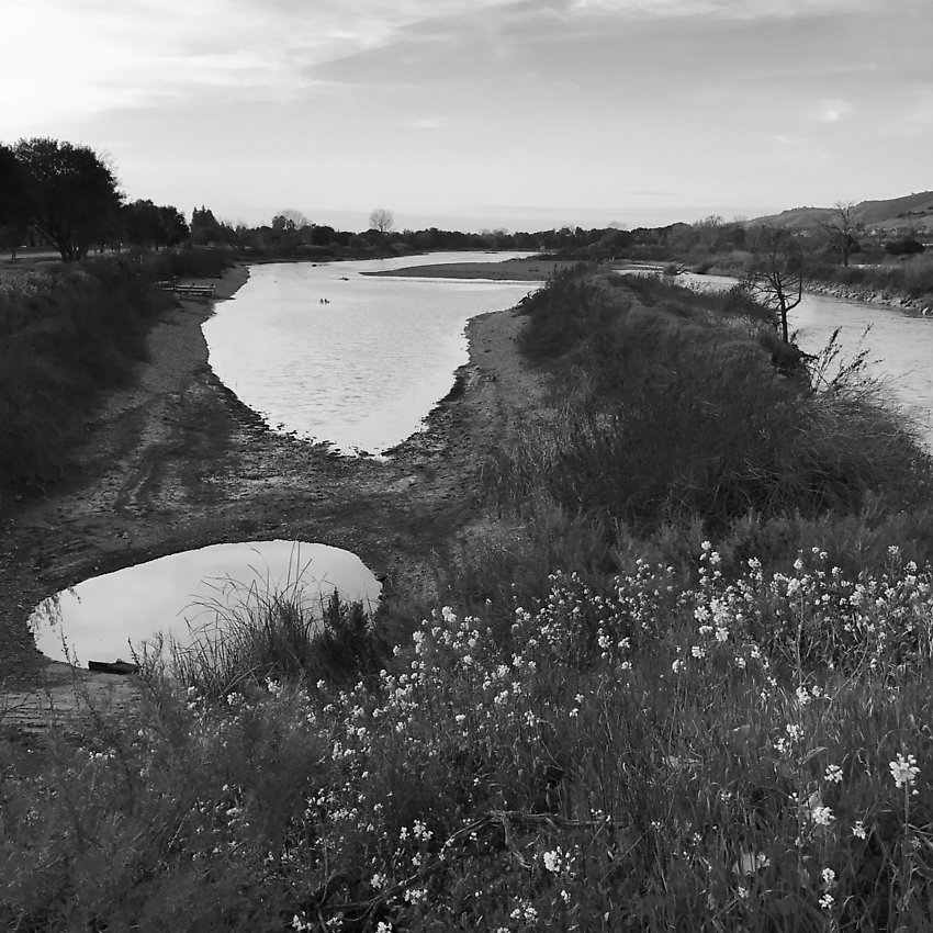 The Trail - The Trail ()