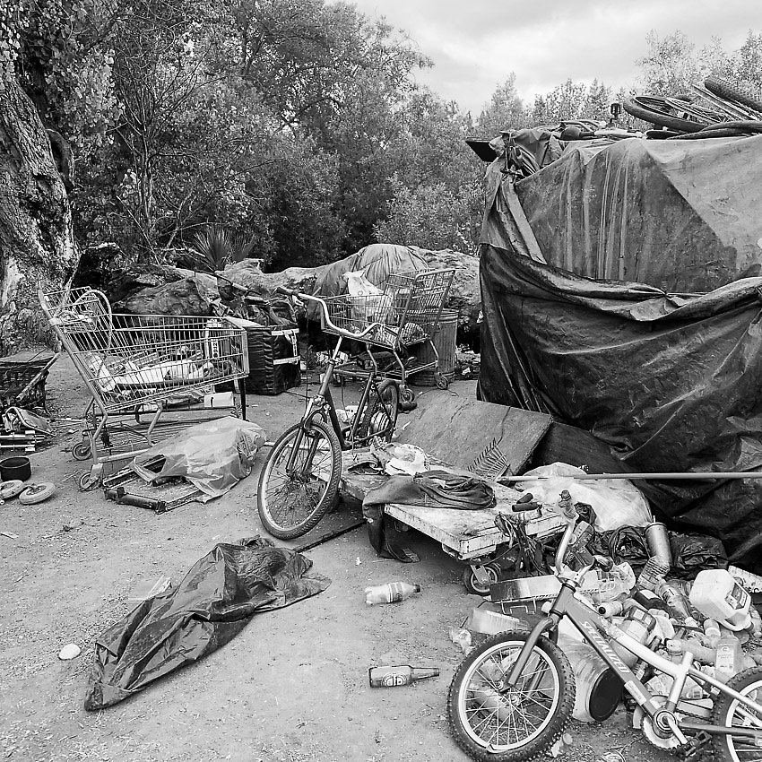 Coyote Creek Trail - Coyote Creek Trail ()