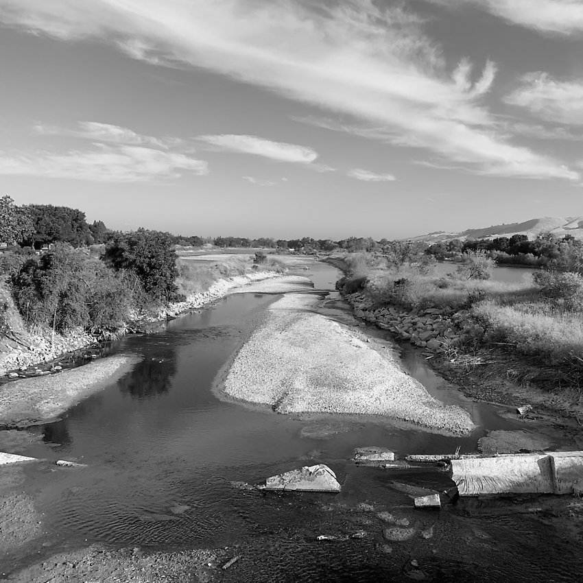 The Trail - The Trail ()