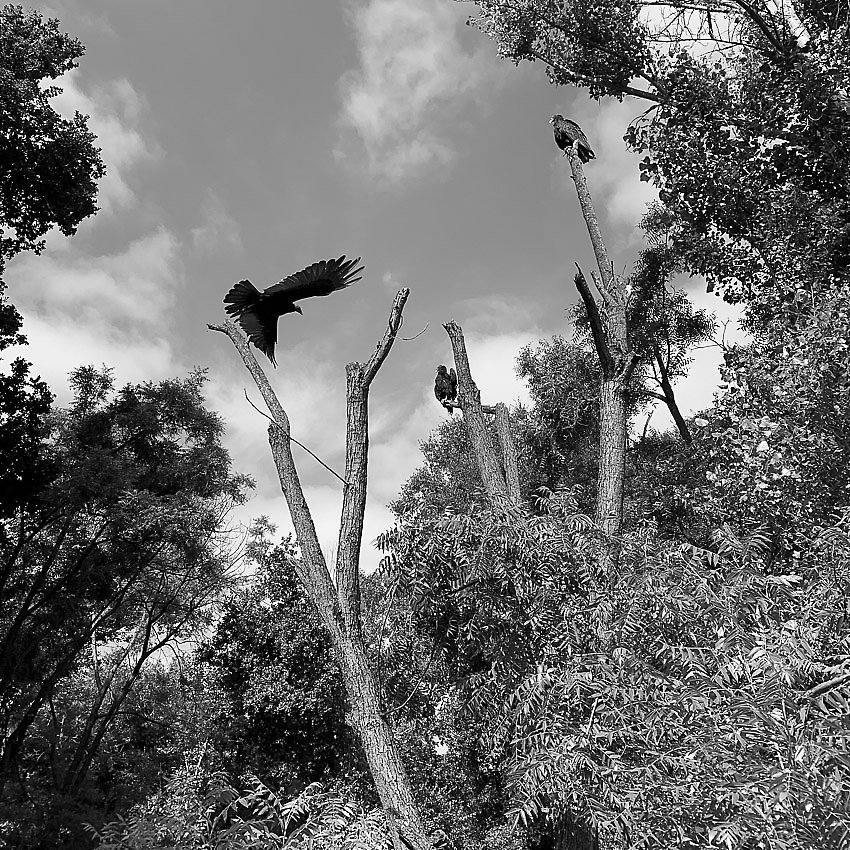 Coyote Creek Trail - Coyote Creek Trail ()
