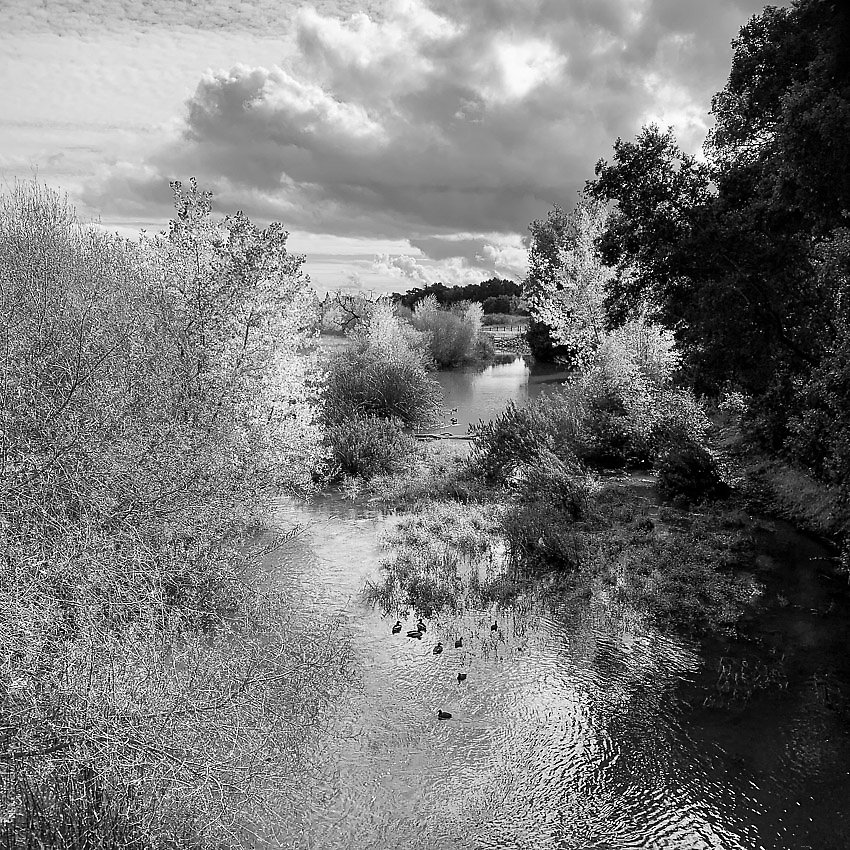 Coyote Creek Trail - Coyote Creek Trail ()