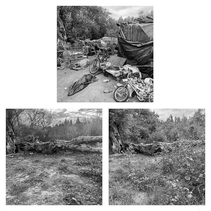 The Trail, Cleared - Coyote Creek ()