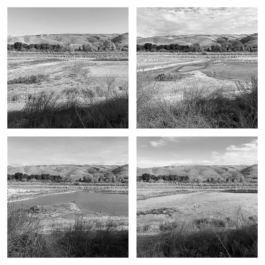 The Trail - Coyote Creek ()