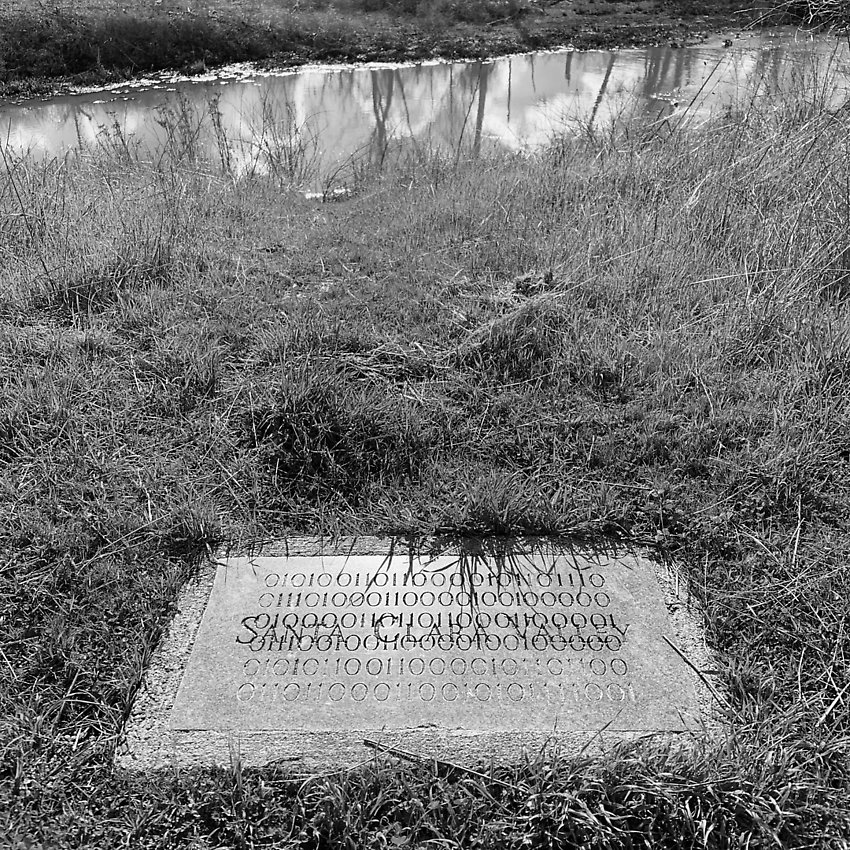 The Trail - The Trail ()