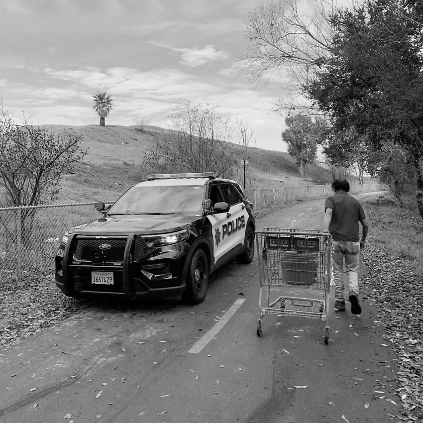 The Trail - The Trail ()