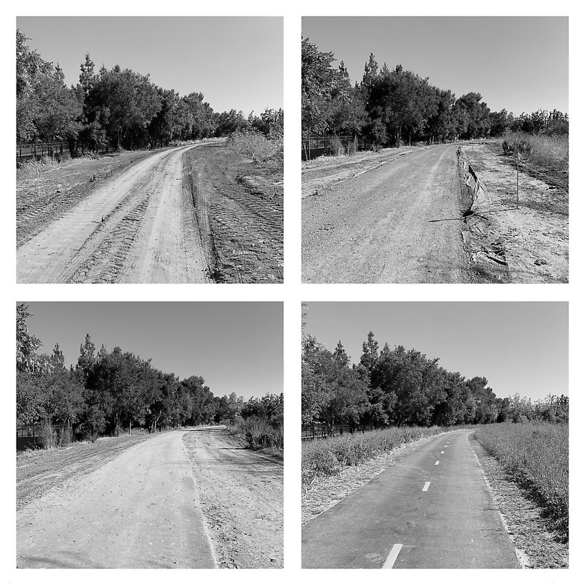 The Trail - Coyote Creek ()