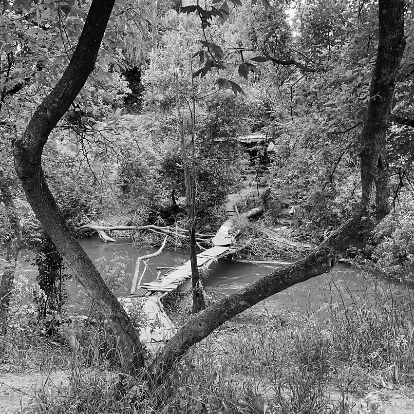 The Trail - The Trail ()