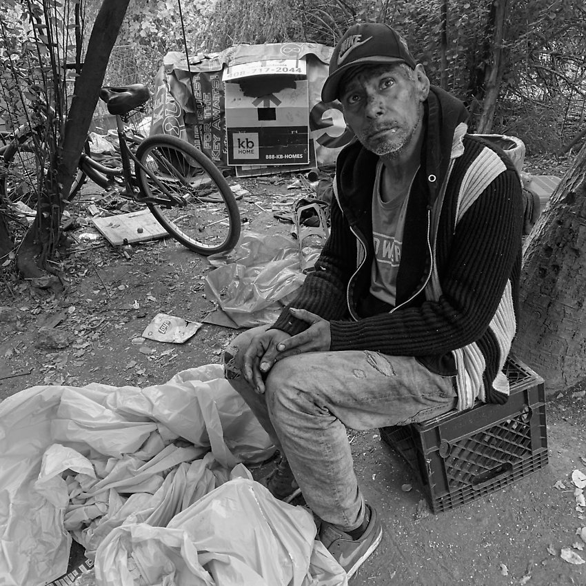 The Trail - The Trail ()