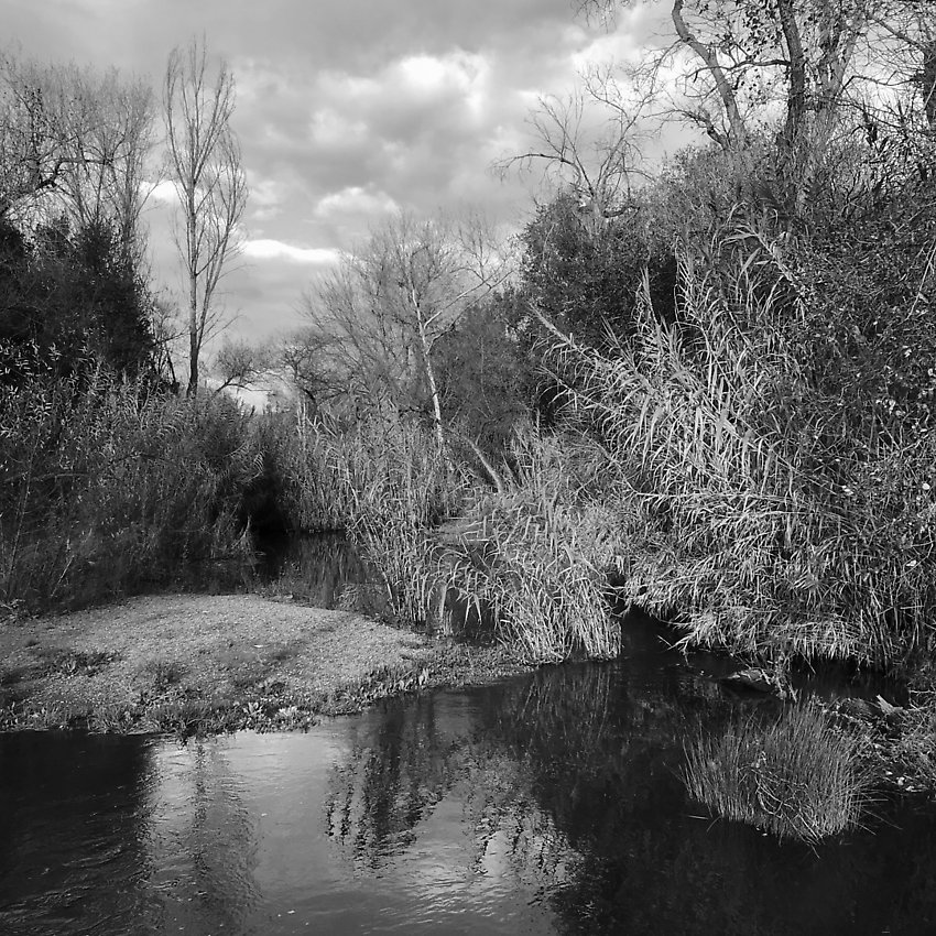 The Trail - The Trail ()