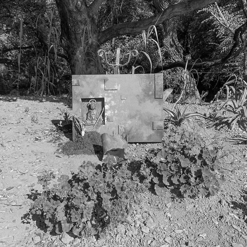 The Trail - The Trail ()