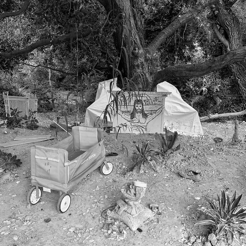 The Trail - The Trail ()