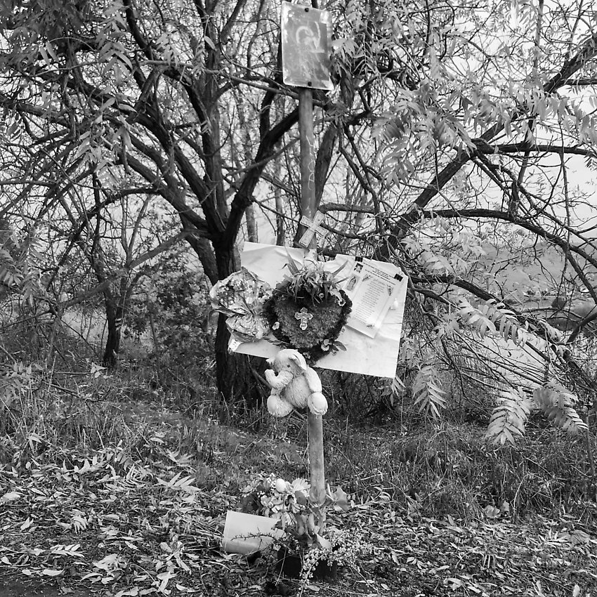 The Trail - The Trail ()