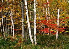 Acadia National Park.  ( )