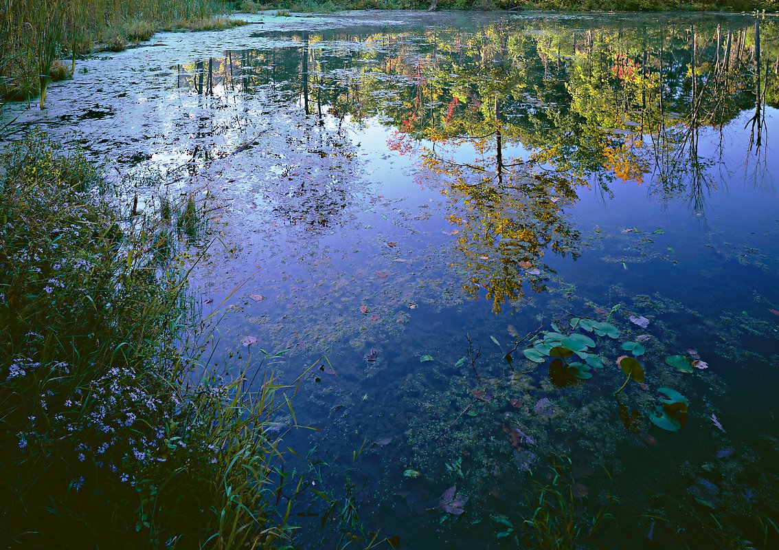 Cuyahoga Valley National Park.  ()