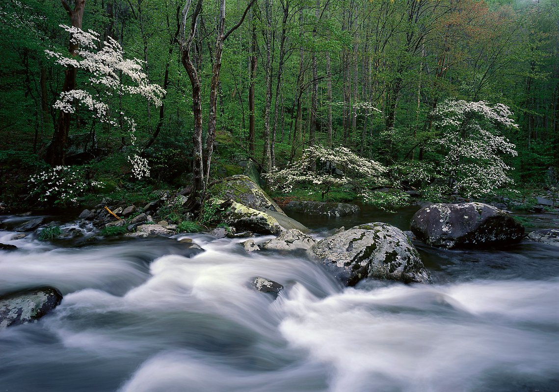 Great Smoky Mountains National Park.  ()