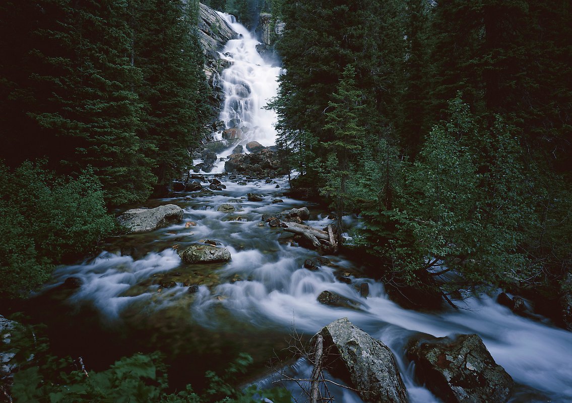 Grand Teton National Park.  ()