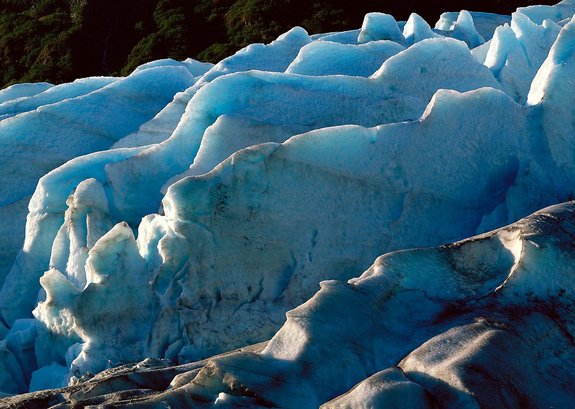 Kenai Fjords National Park.  ()