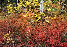 Kobuk Valley National Park.  ( )