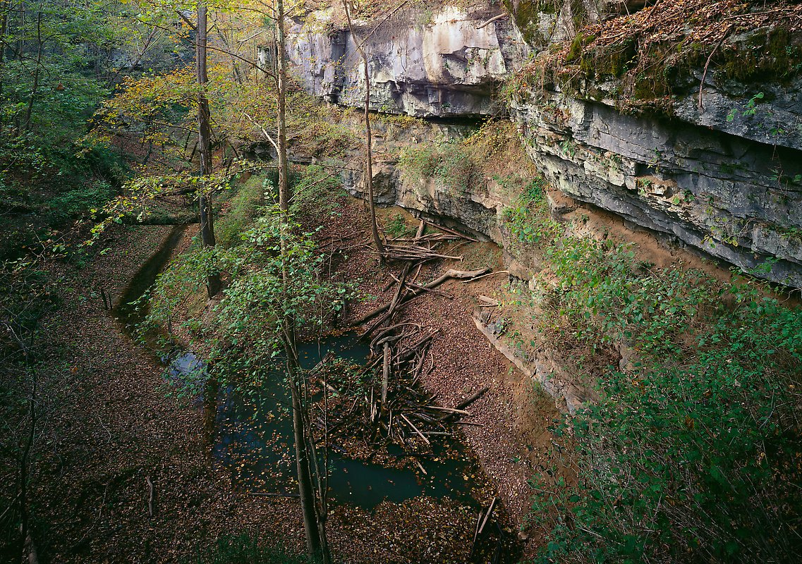 Mammoth Cave National Park.  ()