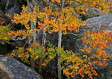 Rocky Mountain National Park.  ( )