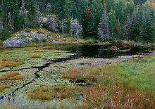 Voyageurs National Park.  ( )