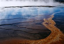 Yellowstone National Park.  ( )