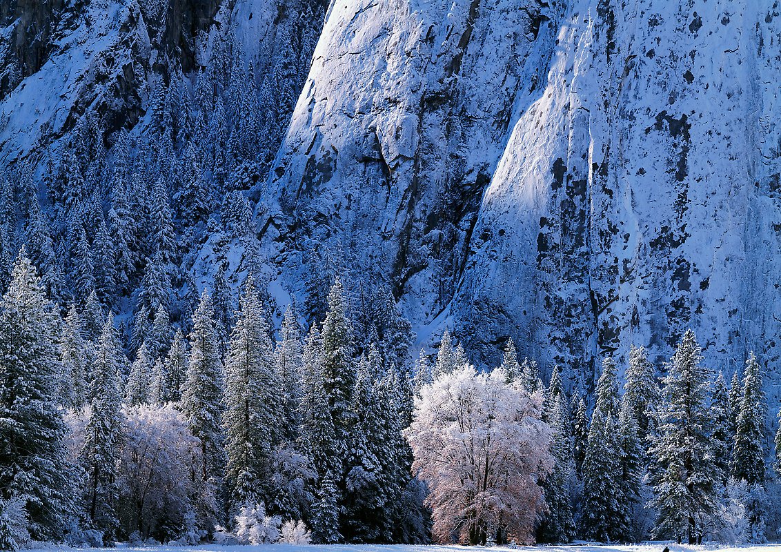 Yosemite National Park.  ()