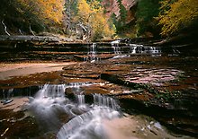 Zion National Park.  ( )