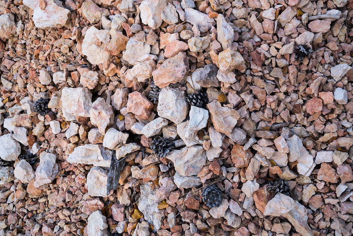 Dry creek with fallen pine cones. Bryce Canyon National Park.  ()
