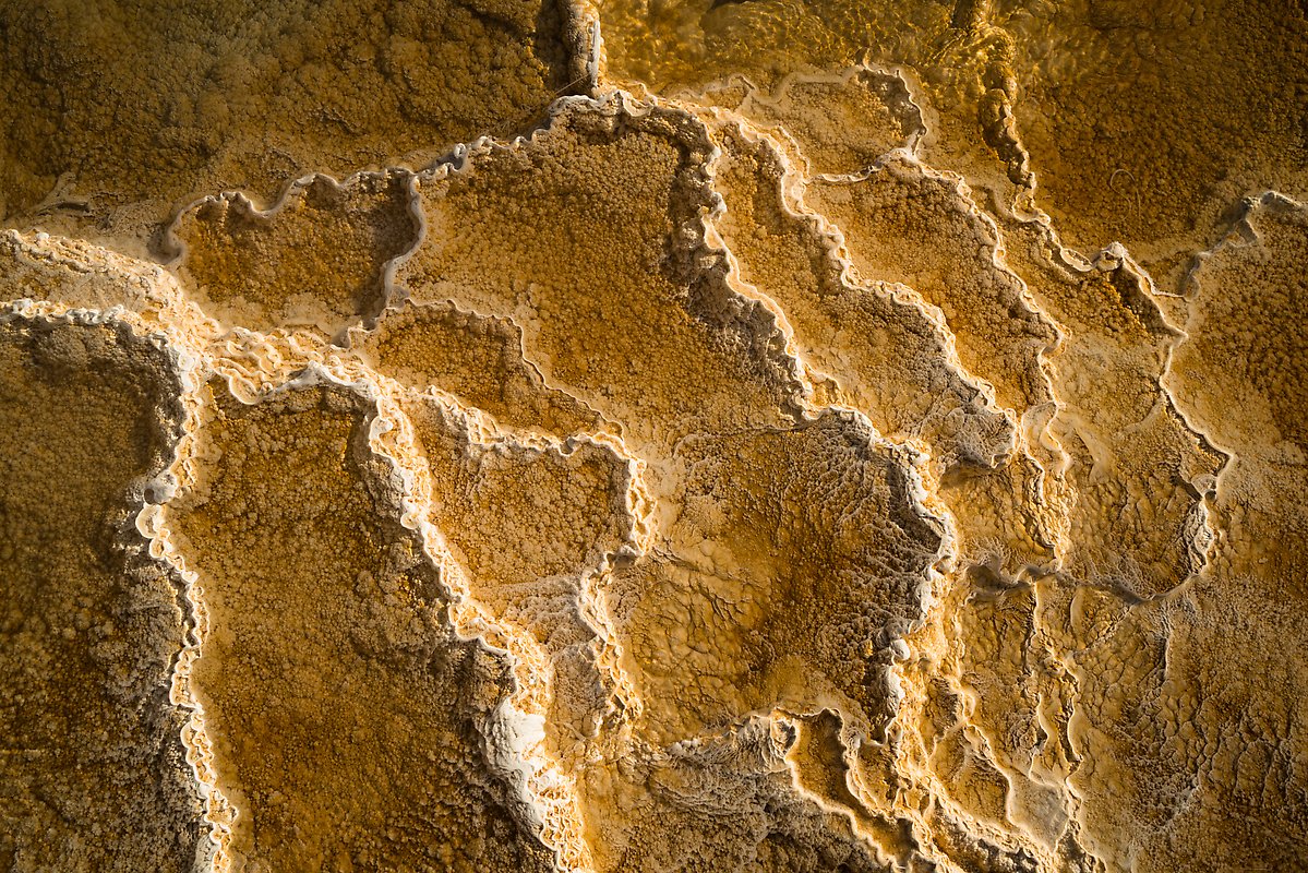 Travertine terrace, Mammoth Hot Springs. Yellowstone National Park.  ()