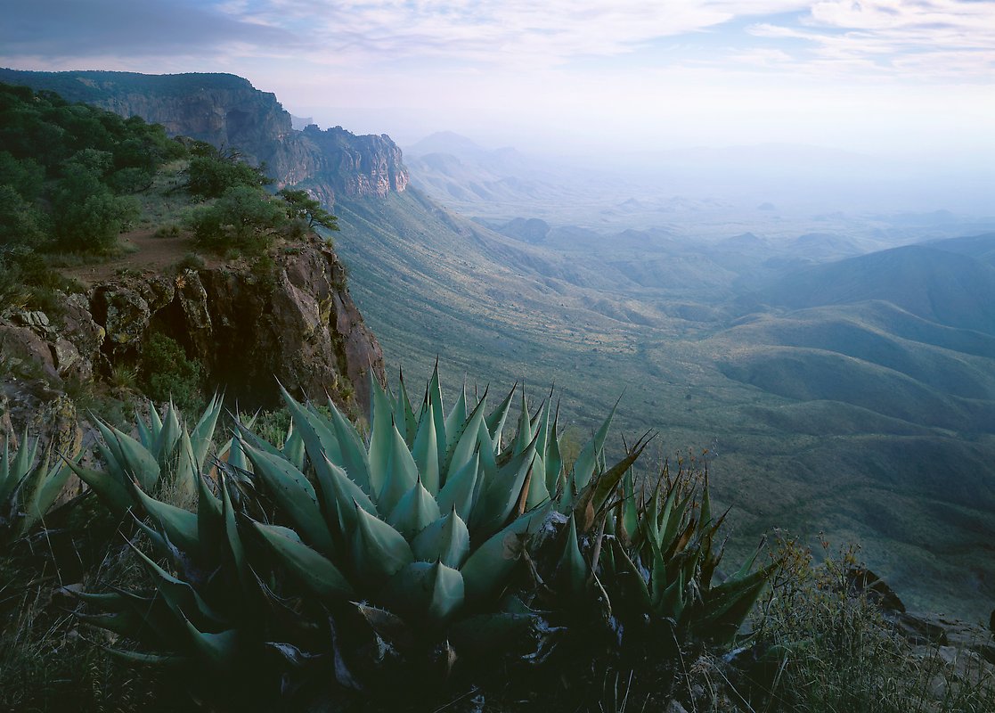 Big Bend National Park.  ()