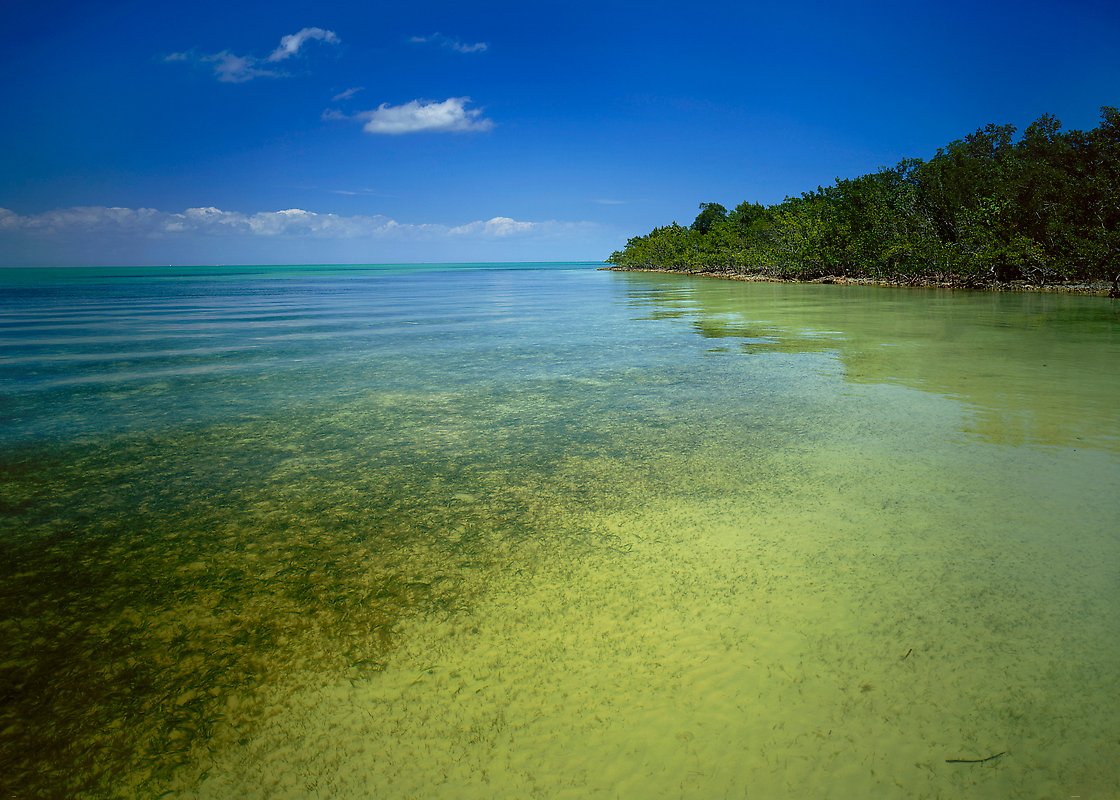 Biscayne National Park.  ()